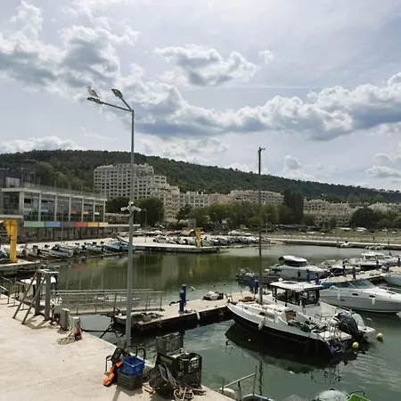The Cactus South Bay